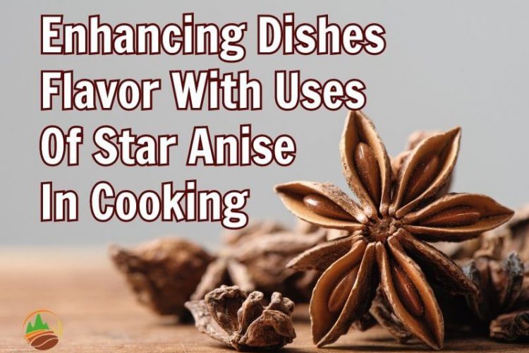 enhancing-dishes-flavor-with-uses-of-star-anise-in-cooking