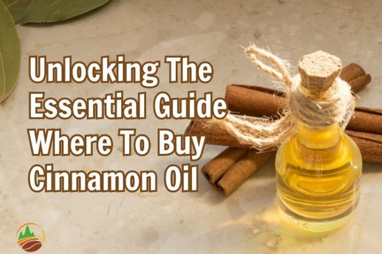unlocking-the-essential-guide-where-to-buy-cinnamon-oil