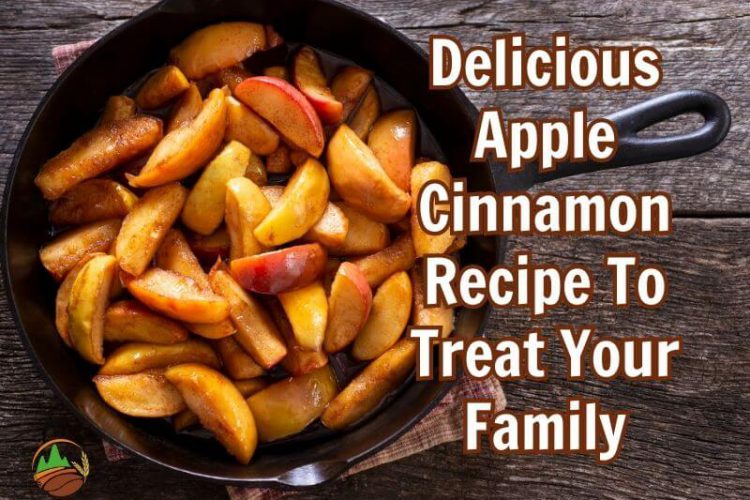 delicious-apple-cinnamon-recipe-to-treat-your-family
