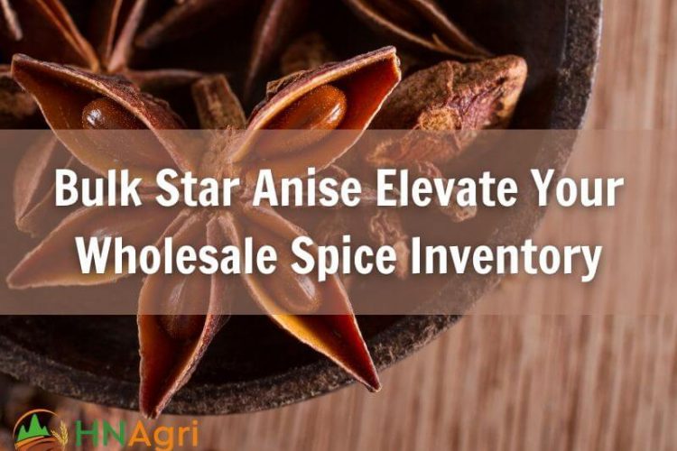 bulk-star-anise-elevate-your-wholesale-spice-inventory-1