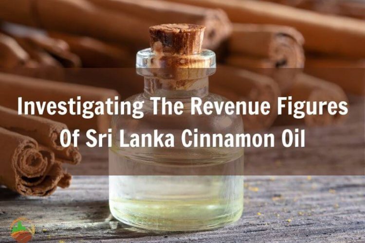 investigating-the-revenue-figures-of-sri-lanka-cinnamon-oil