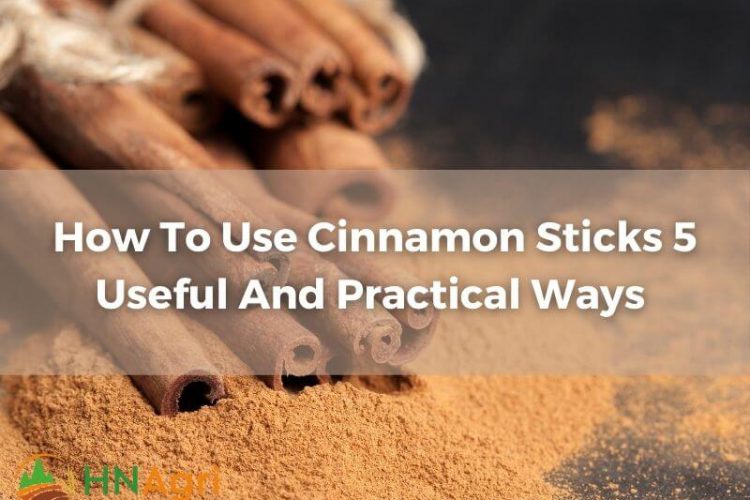 how-to-use-cinnamon-sticks-5-useful-and-practical-ways-1
