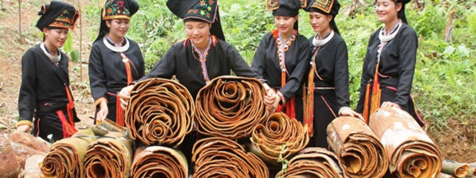 vietnamese cinnamon 2