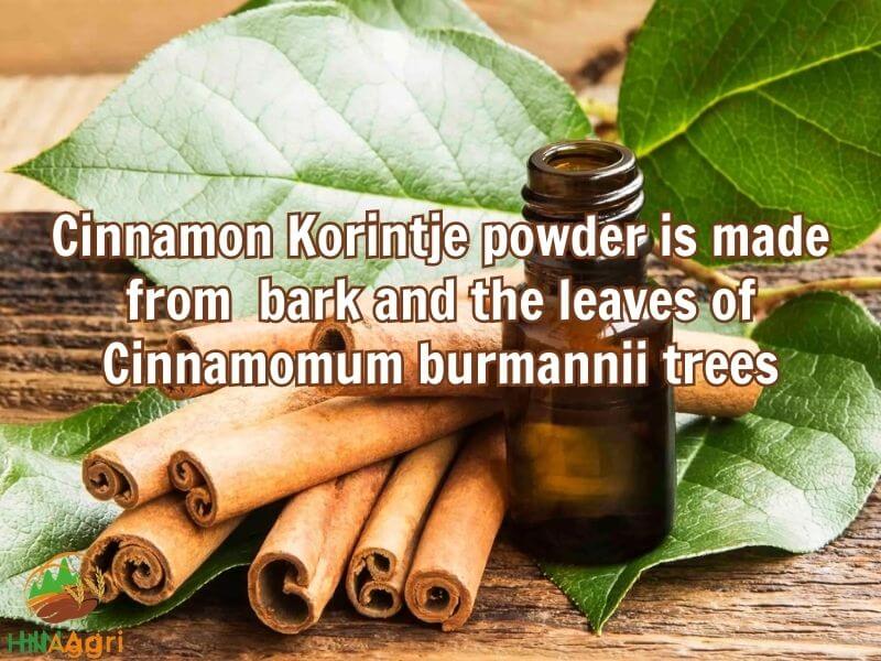 the-ultimate-guide-about-the-potential-korintje-cinnamon-powder-1