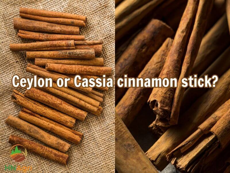where-to-buy-cinnamon-sticks-a-guide-for-cinnamon-importers-1