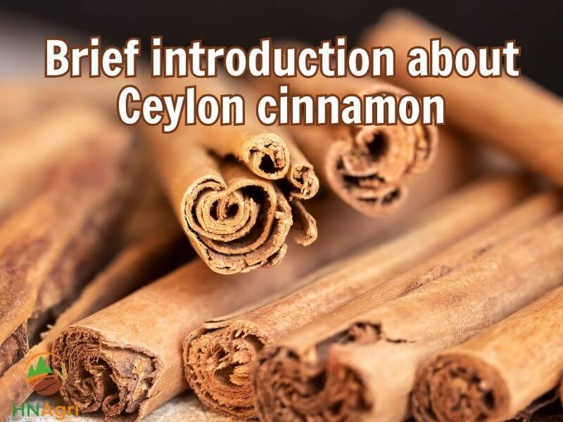 discover-the-amazing-health-benefits-of-ceylon-cinnamon-1