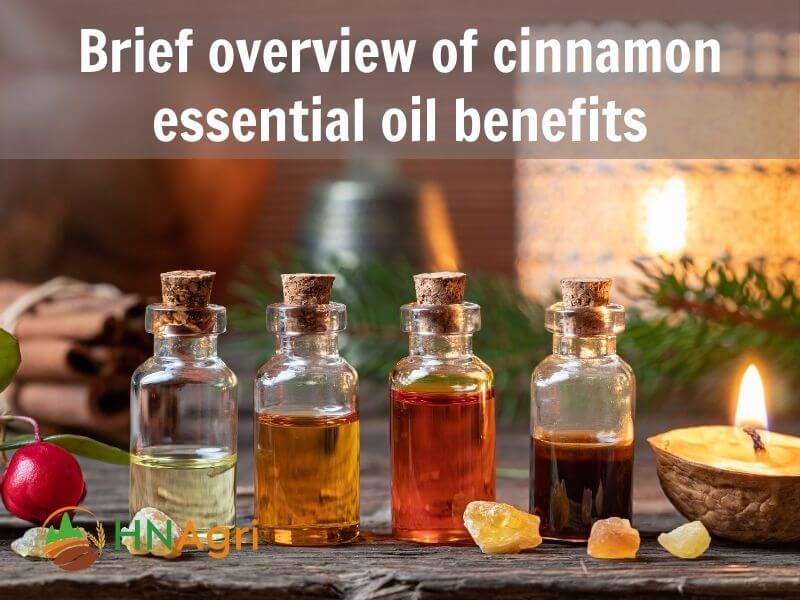 top-5-cinnamon-essential-oil-benefits-a-comprehensive-review-2