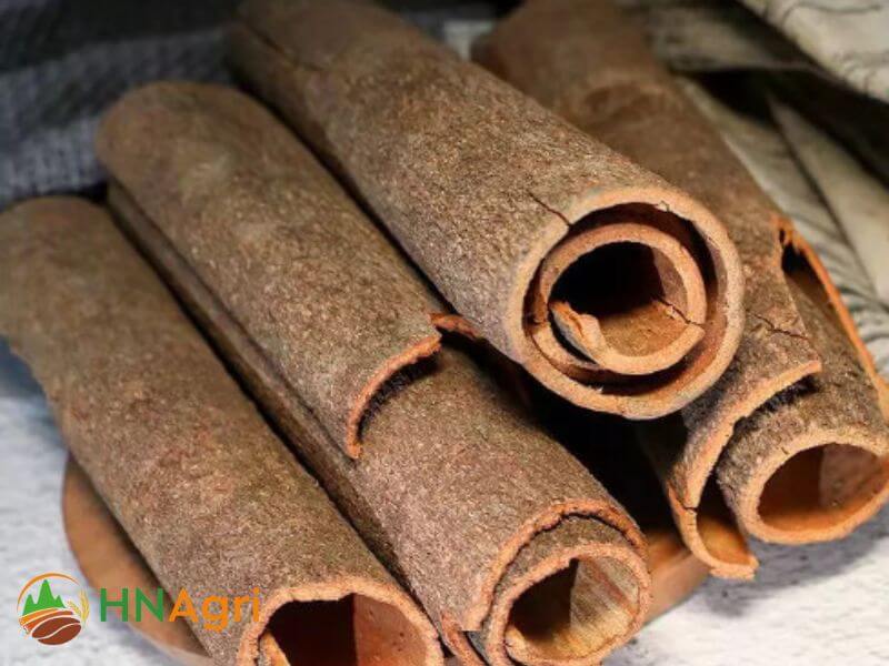 vietnamese-tube-cinnamon-5-tc25-2