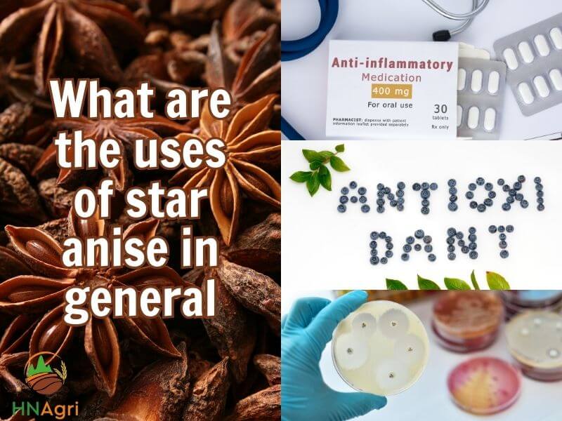 enhancing-dishes-flavor-with-uses-of-star-anise-in-cooking-1