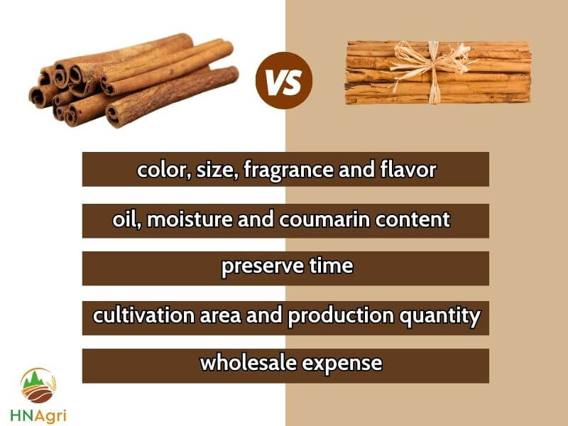 korintje-cinnamon-vs-ceylon-a-comprehensive-comparison-1
