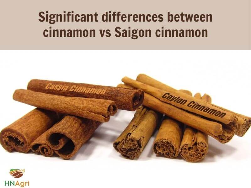 what-is-the-ideal-choice-between-cinnamon-vs-saigon-cinnamon-1