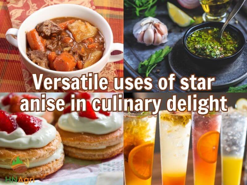 exploring-the-uses-of-star-anise-from-culinary-to-medicinal-uses-2