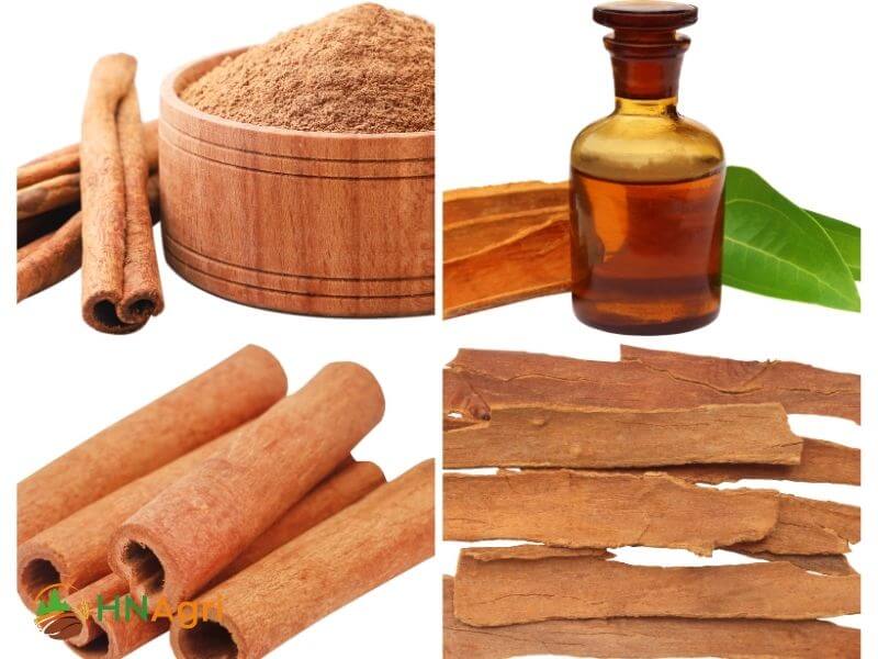 top-5-organic-cinnamon-benefits-that-we-should-know-3