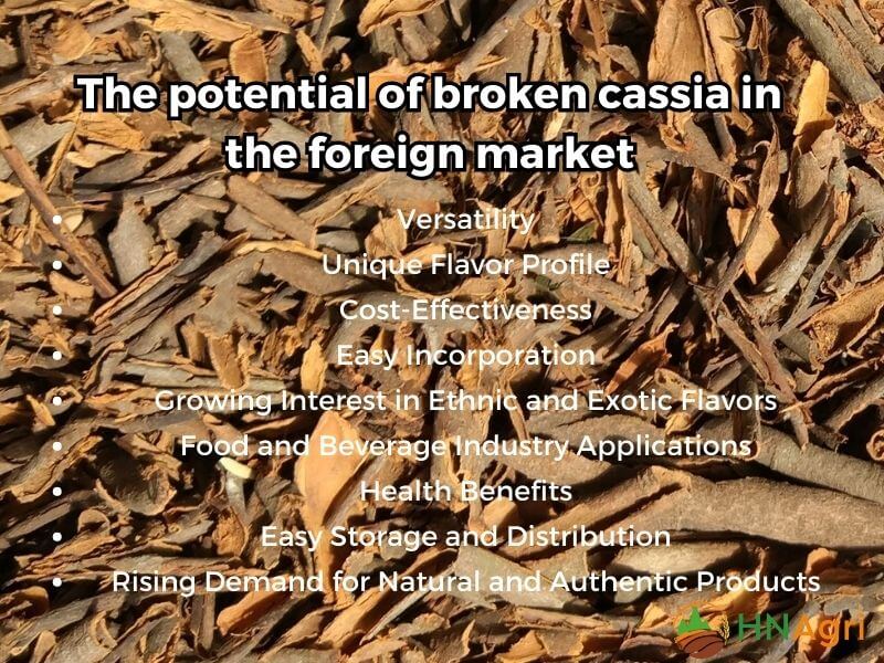 broken-cassia-a-wholesale-guide-to-quality-and-usage-3