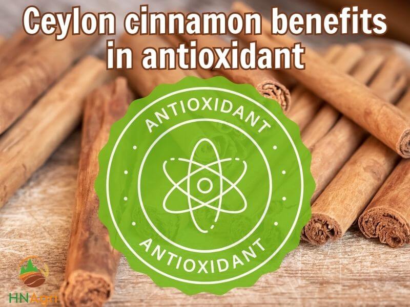 discover-the-amazing-health-benefits-of-ceylon-cinnamon-2