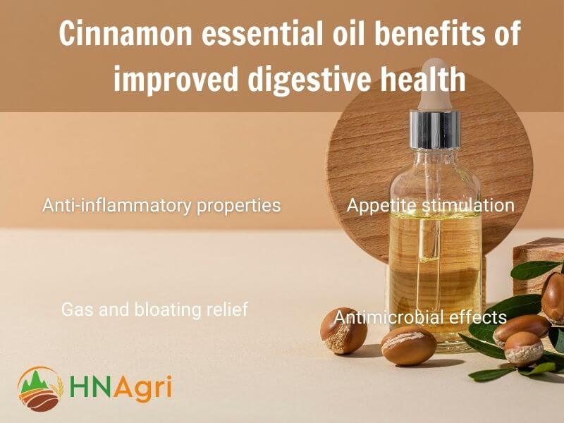 top-5-cinnamon-essential-oil-benefits-a-comprehensive-review-3