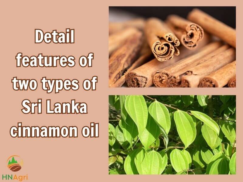 investigating-the-revenue-figures-of-sri-lanka-cinnamon-oil-2
