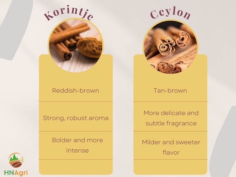 korintje-cinnamon-vs-ceylon-a-comprehensive-comparison-2