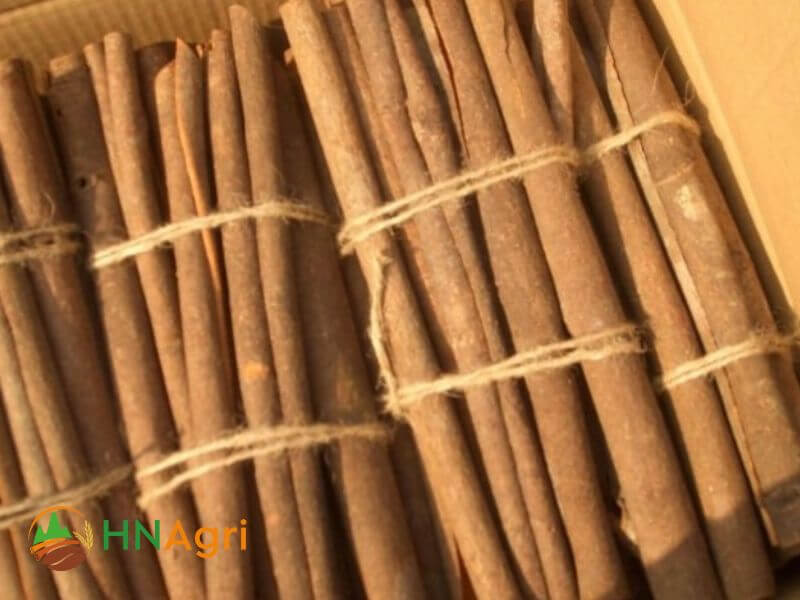 vietnamese-cinnamon-tube-3-vct07-3
