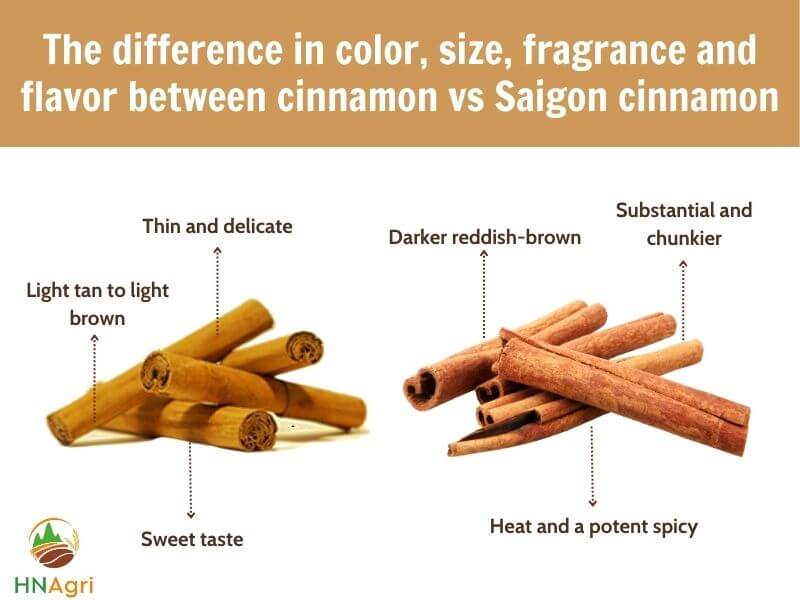 what-is-the-ideal-choice-between-cinnamon-vs-saigon-cinnamon-2