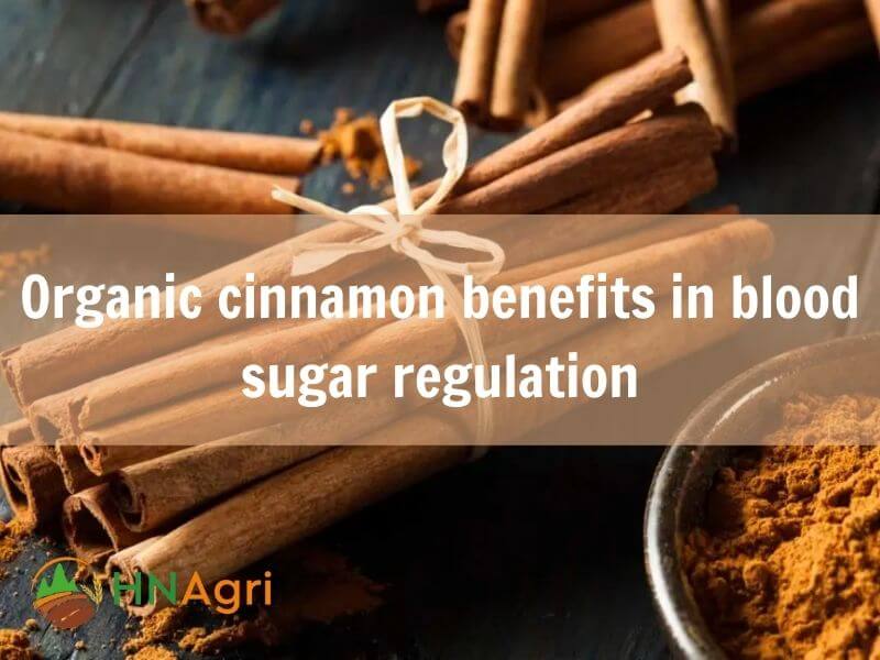 top-5-organic-cinnamon-benefits-that-we-should-know-4