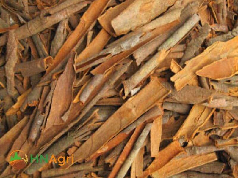 vietnamese-broken-cinnamon-2-vbc18-4