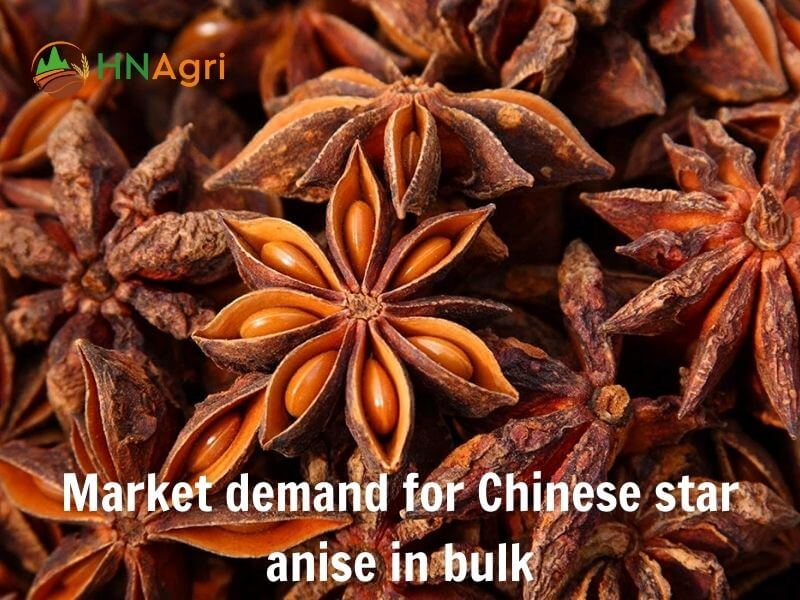 chinese-star-anise-the-essential-spice-for-wholesalers-4