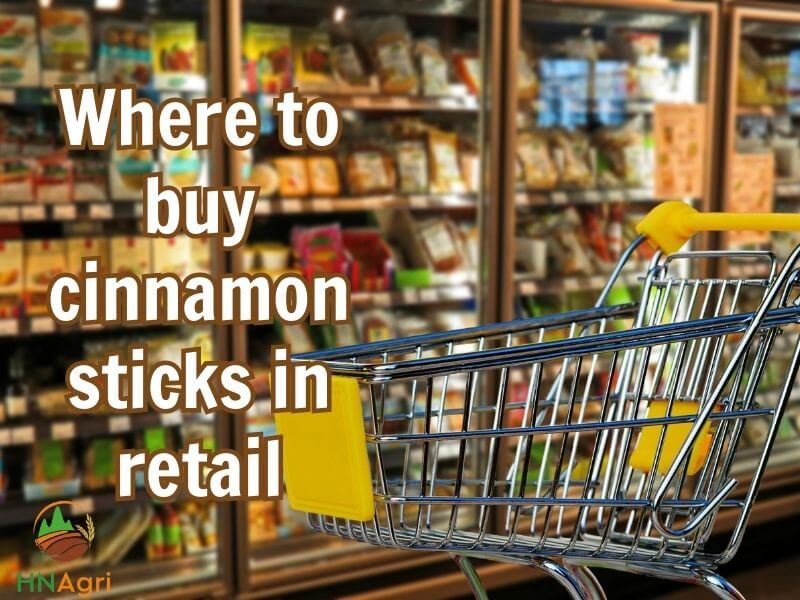 where-to-buy-cinnamon-sticks-a-guide-for-cinnamon-importers-3