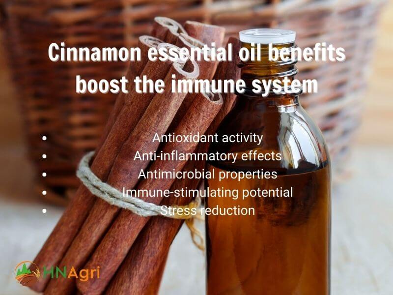 top-5-cinnamon-essential-oil-benefits-a-comprehensive-review-4