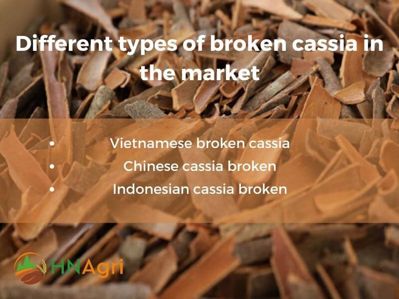 broken-cassia-a-wholesale-guide-to-quality-and-usage-4