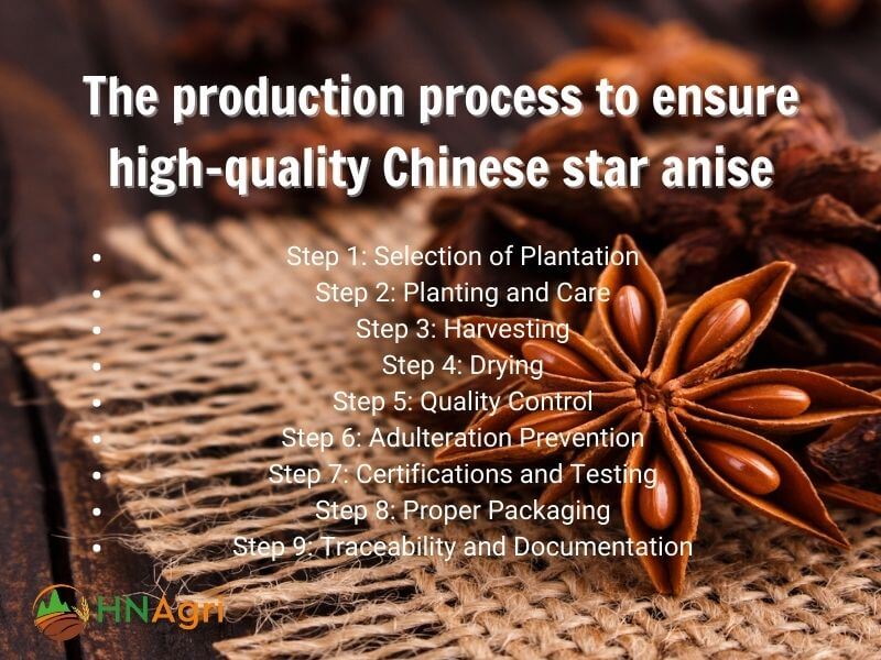chinese-star-anise-the-essential-spice-for-wholesalers-5