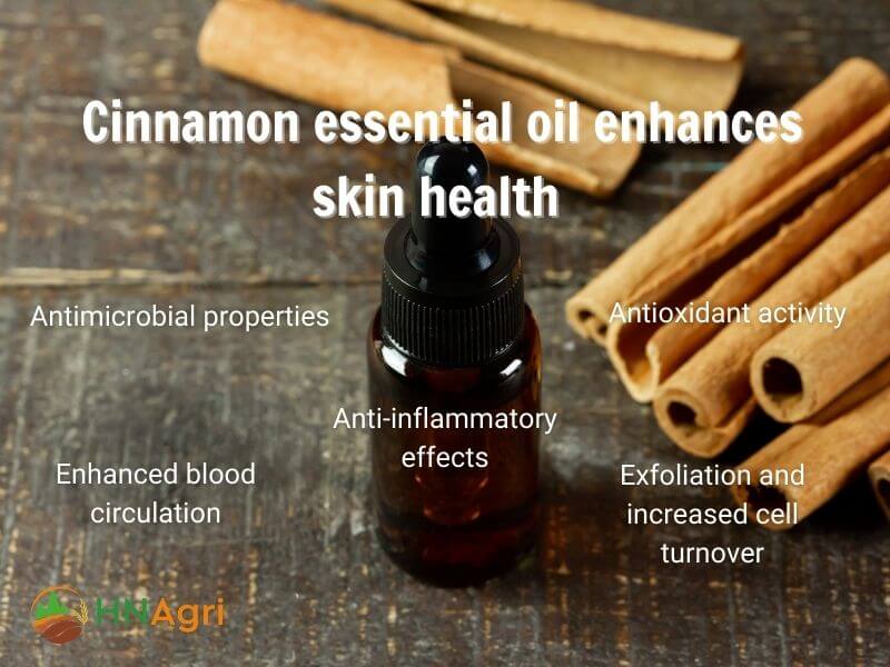 top-5-cinnamon-essential-oil-benefits-a-comprehensive-review-5