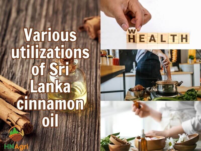 investigating-the-revenue-figures-of-sri-lanka-cinnamon-oil-4