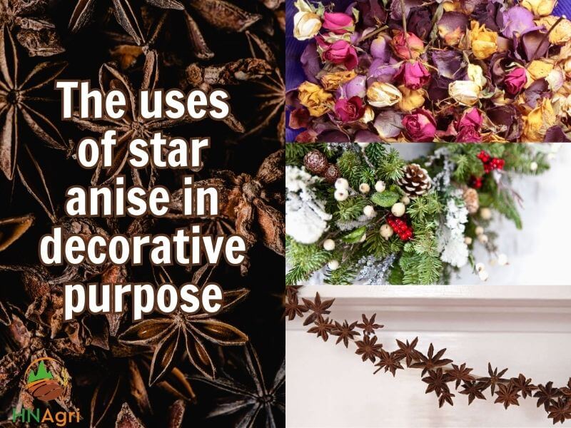 exploring-the-uses-of-star-anise-from-culinary-to-medicinal-uses-4