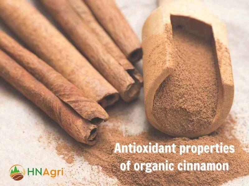 top-5-organic-cinnamon-benefits-that-we-should-know-5