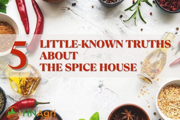 the-spice-house-brand-review-5-little-known-truths-1