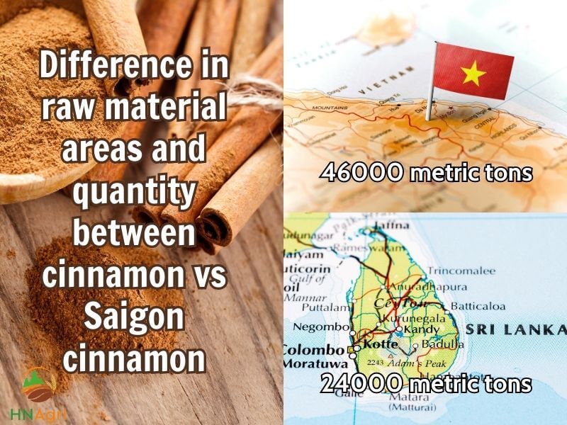 what-is-the-ideal-choice-between-cinnamon-vs-saigon-cinnamon-4