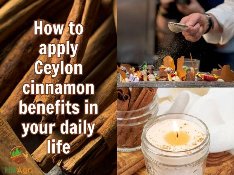 discover-the-amazing-health-benefits-of-ceylon-cinnamon-5