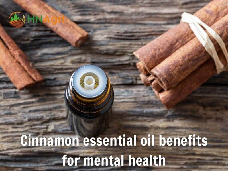 top-5-cinnamon-essential-oil-benefits-a-comprehensive-review-6