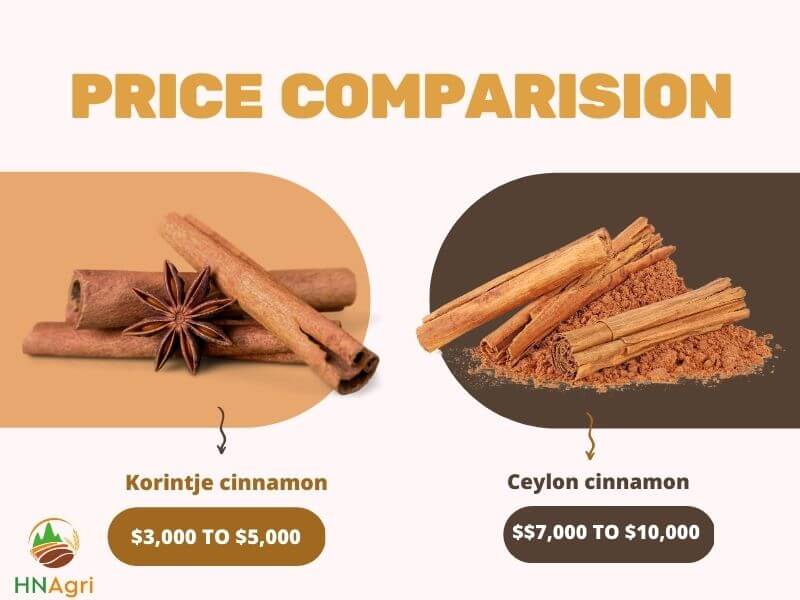 korintje-cinnamon-vs-ceylon-a-comprehensive-comparison-5