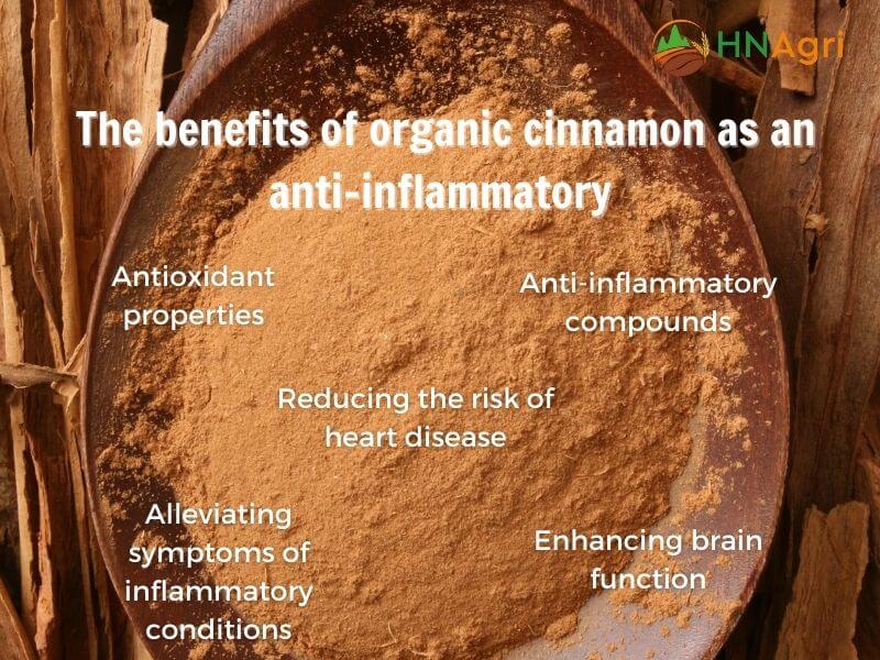 top-5-organic-cinnamon-benefits-that-we-should-know-6