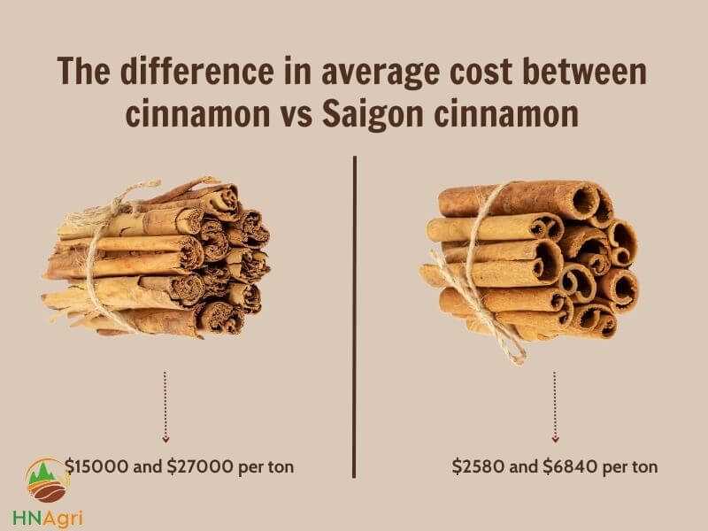 what-is-the-ideal-choice-between-cinnamon-vs-saigon-cinnamon-5
