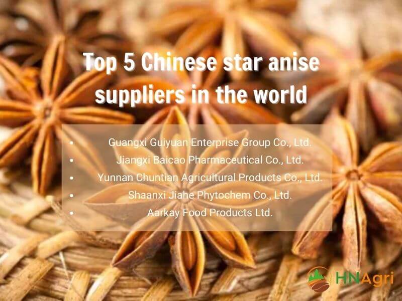 chinese-star-anise-the-essential-spice-for-wholesalers-7