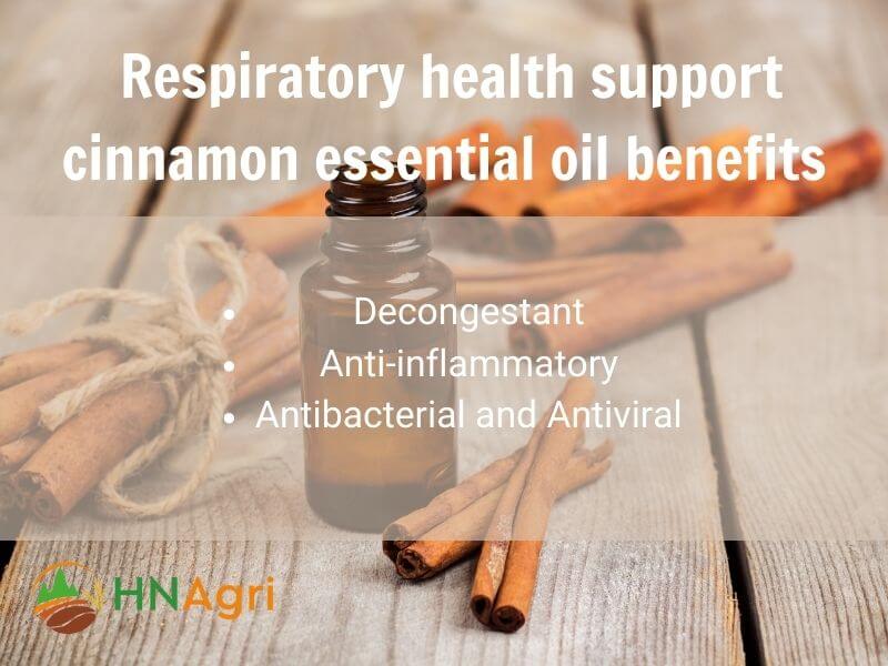 top-5-cinnamon-essential-oil-benefits-a-comprehensive-review-7