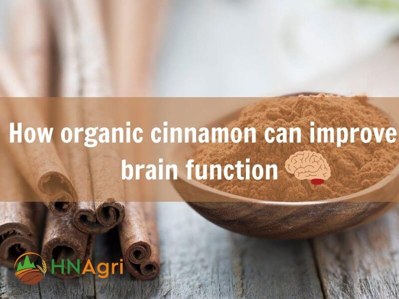 top-5-organic-cinnamon-benefits-that-we-should-know-8
