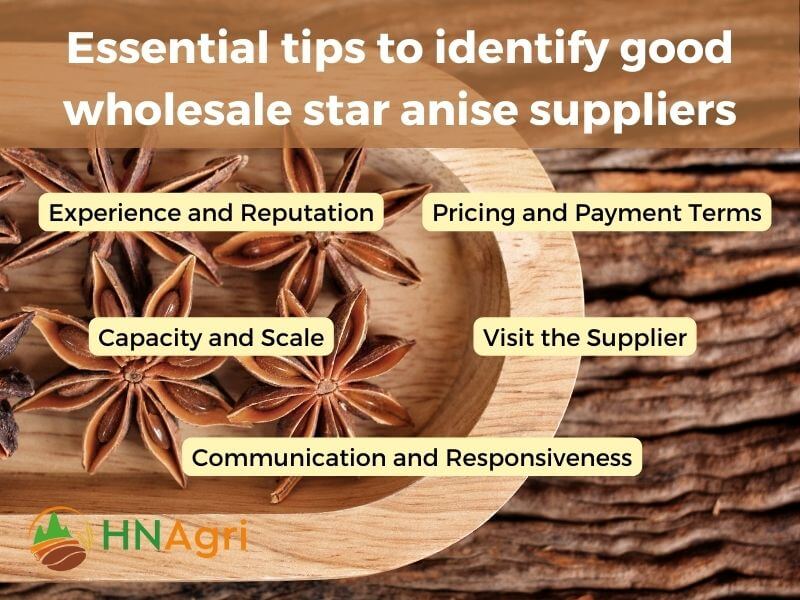 wholesale-star-anise-your-secret-ingredient-for-success-4