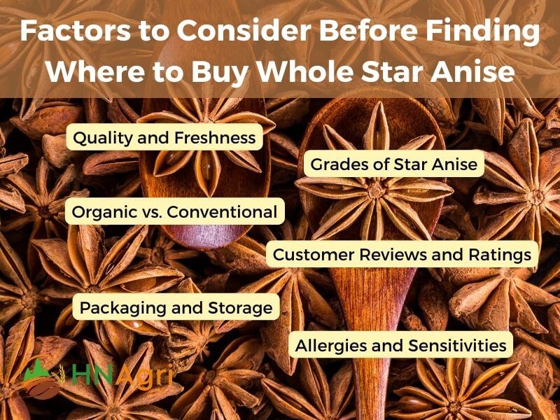 where-to-buy-whole-star-anise-a-comprehensive-guide-2