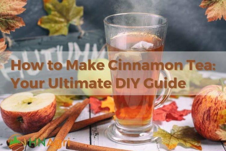 how-to-make-cinnamon-tea-your-ultimate-diy-guide-1