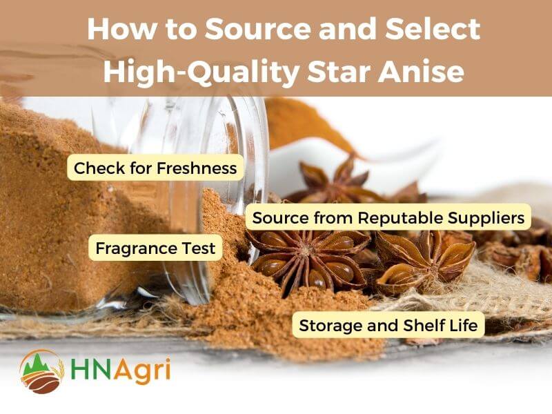 cooking-with-star-anise-elevate-your-dishes-with-this-exotic-spice-4
