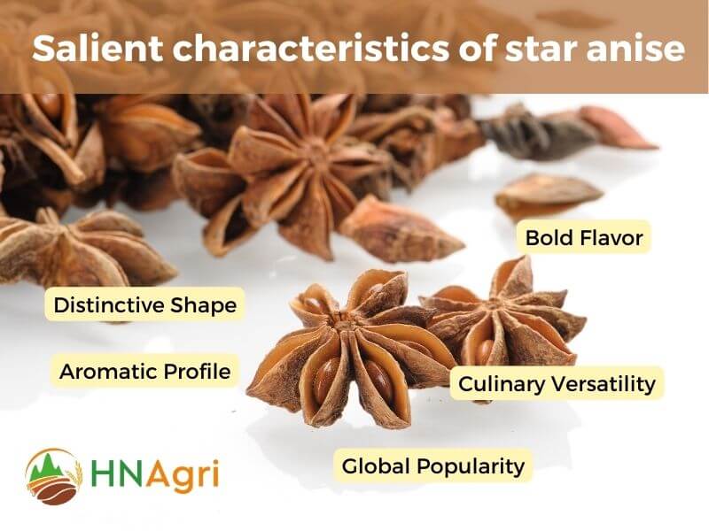 cooking-with-star-anise-elevate-your-dishes-with-this-exotic-spice-2